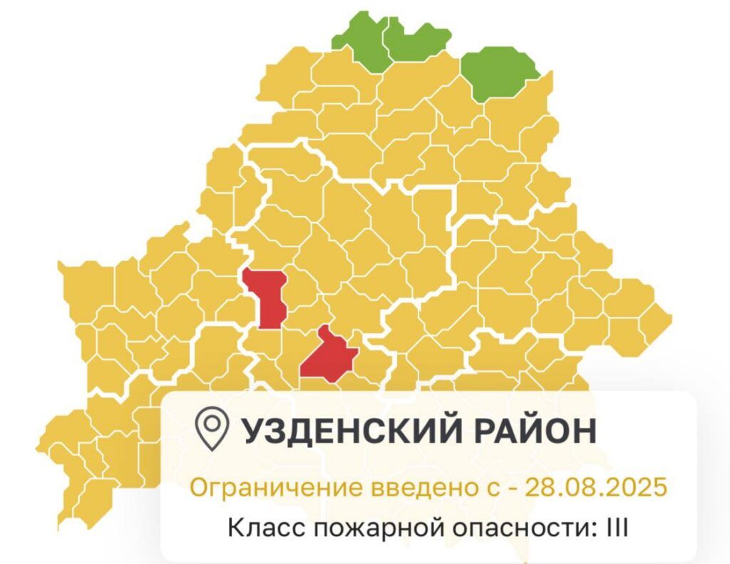Ограничение на посещение лесов введено в Узденском районе