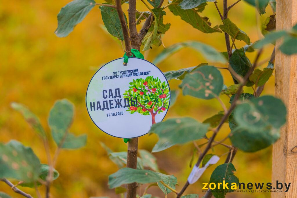 сад надежды2