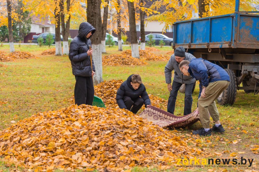 щкольники убирают листья