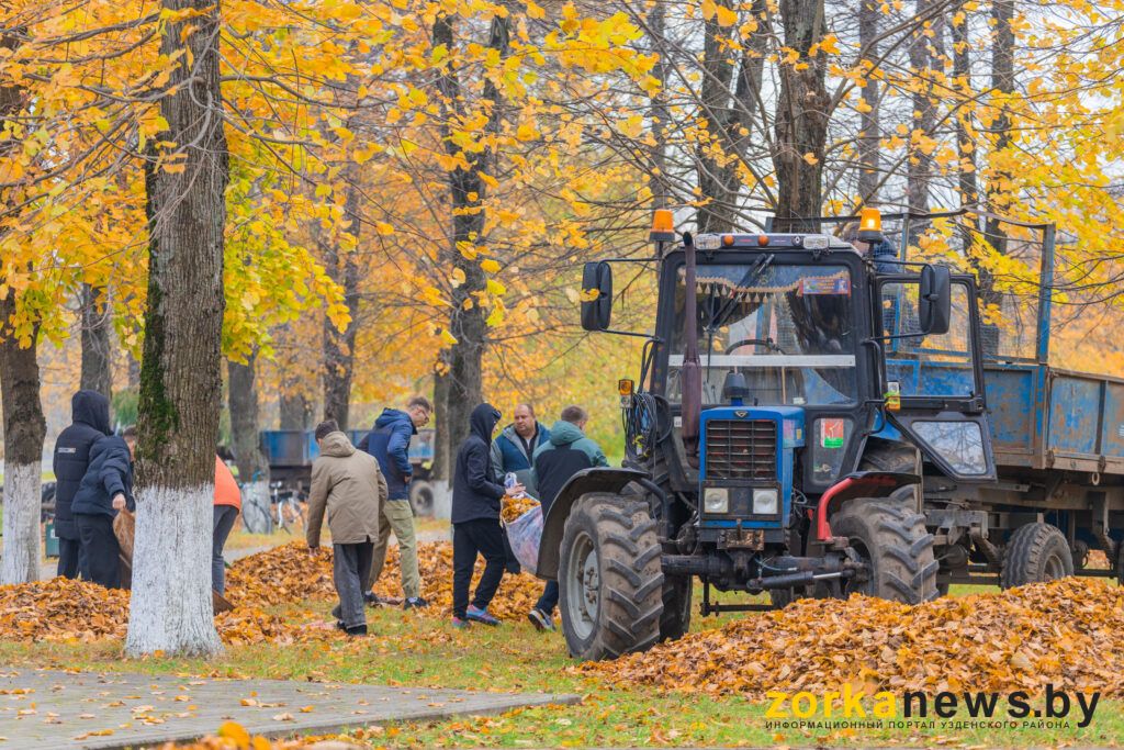 уборка листьев