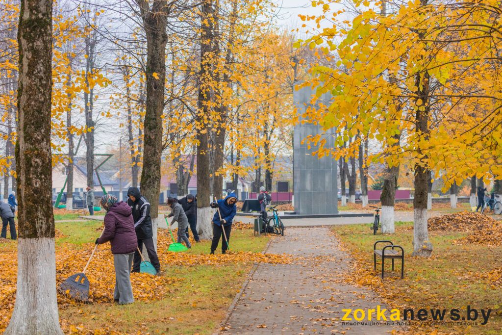 субботник в парке
