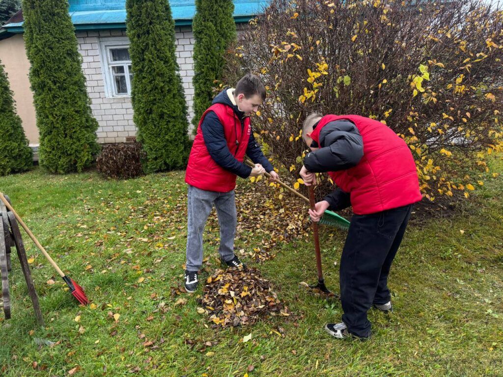 уборка листьев