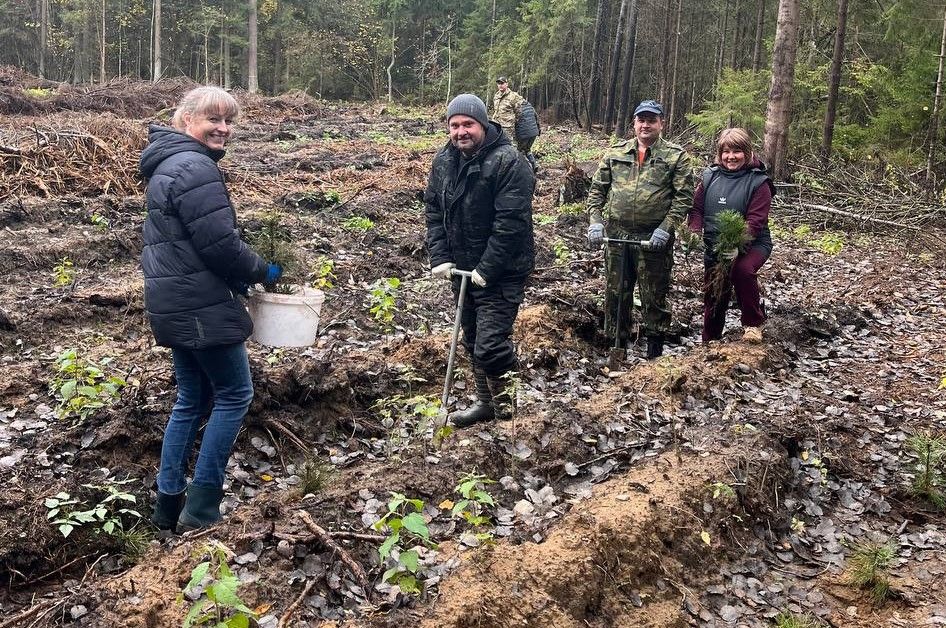 Акция по посадке леса продолжается в Узденском районе