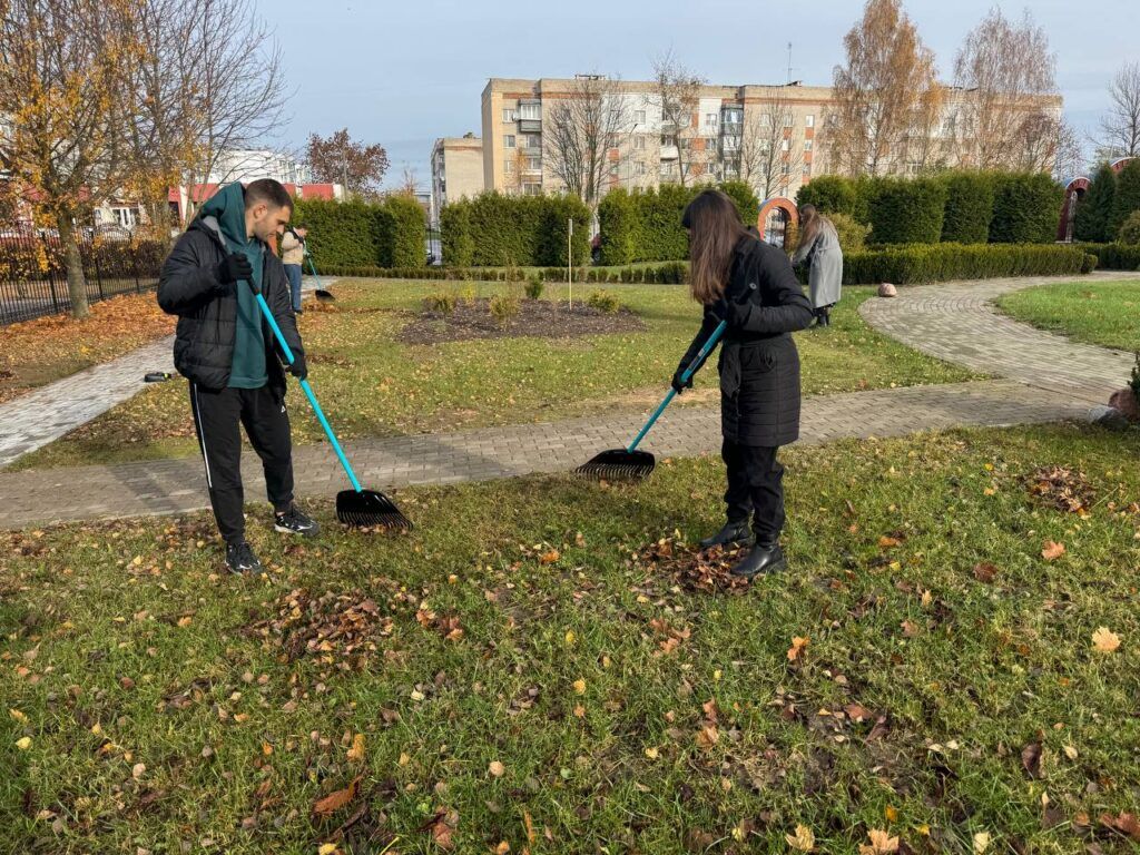 уборка листвы