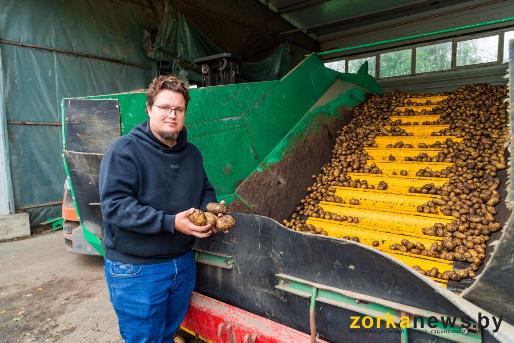 Чипсы «Онега» делают из дещенской картошки. Узнали секрет снеков от молодого фермера