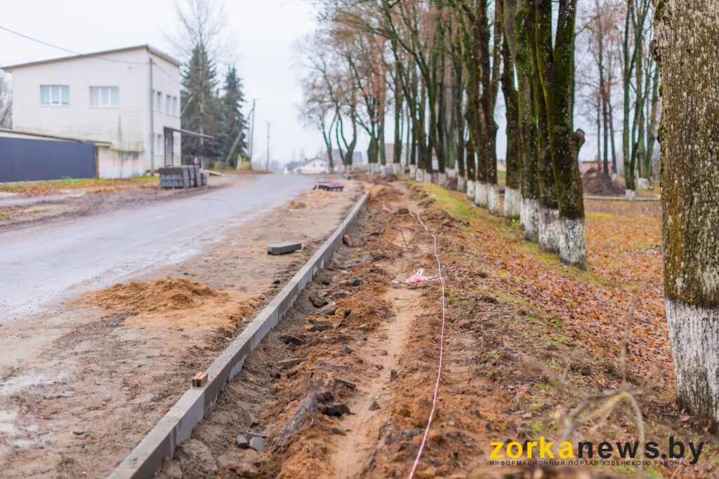 Какую инициативу Озерский сельисполком предложил проявить жителям Королёва