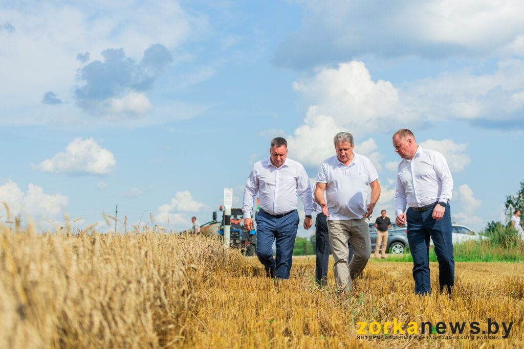 раководители