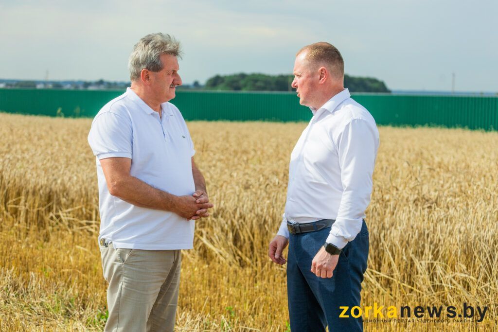 Шкляревский, Колос