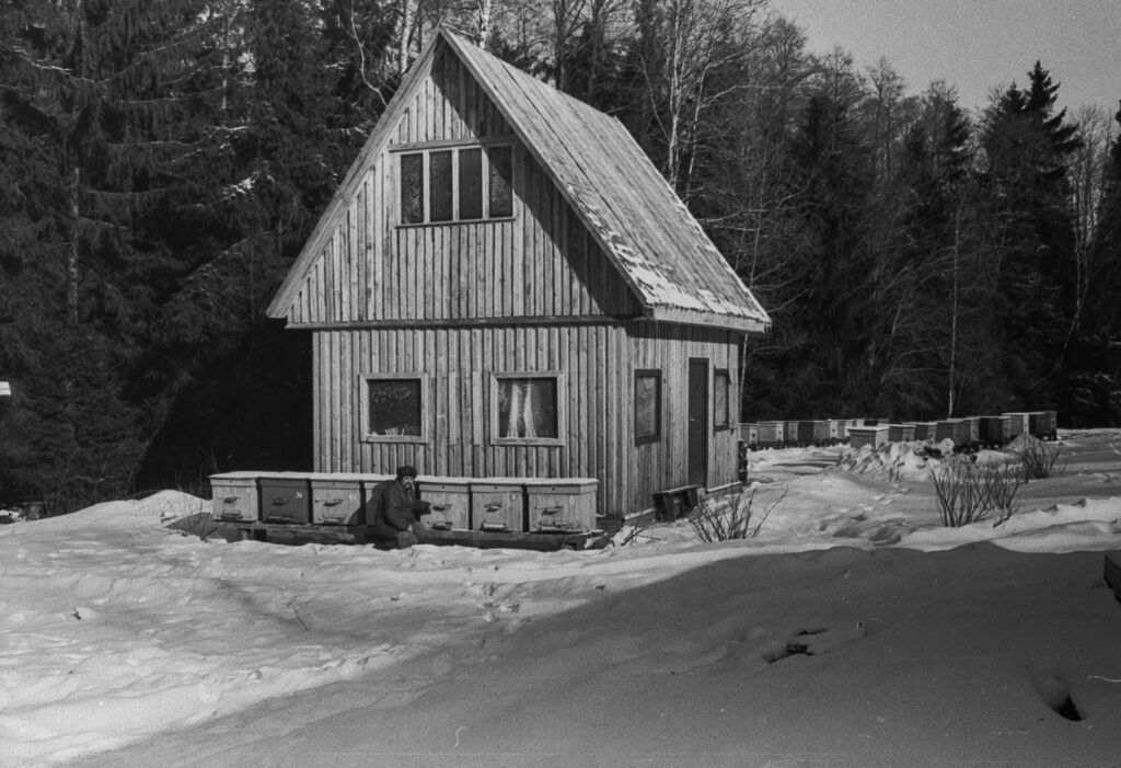 Ретрофото. У леса на опушке