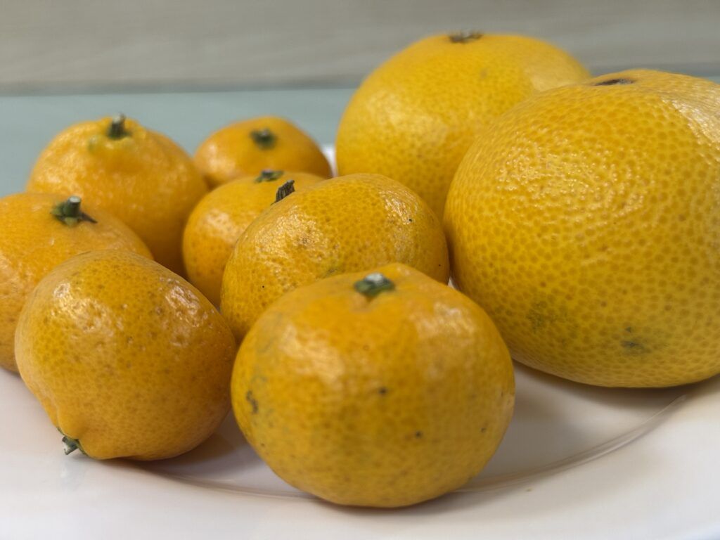 в сравнении с обычными мандаринами