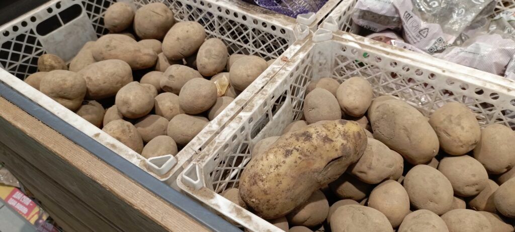 картофель в ящиках