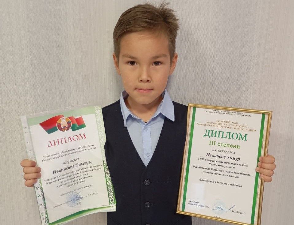 Диплом за какую исследовательскую работу получил ученик Королёвской школы