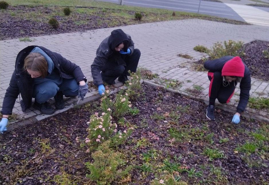 прополка клумбы