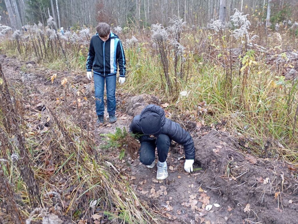 мальчики сажают лес