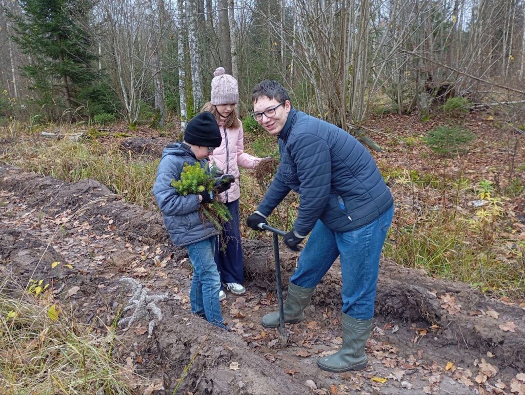 Вклад в восстановление белорусских лесов внесли жители Королёво