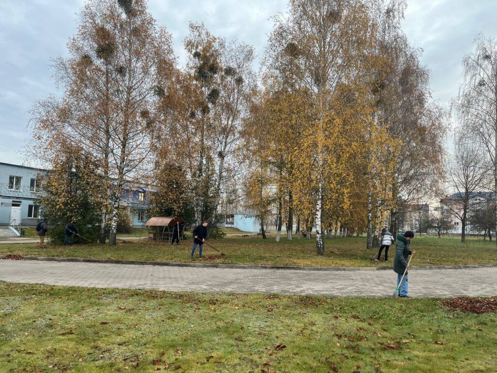 наведение порядка на территории ЦРБ