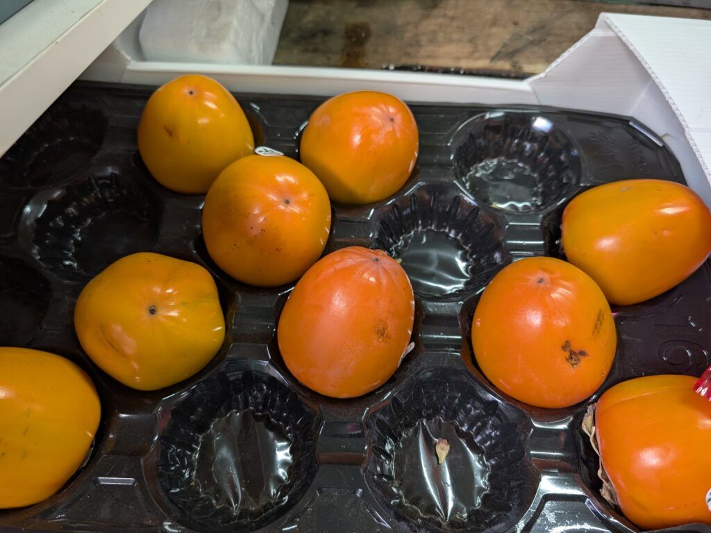 хурба возле больницы