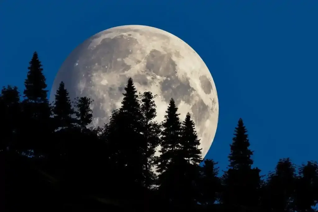 Луна станет гигантом. Как увидеть самое впечатляющее суперлуние 2025 года