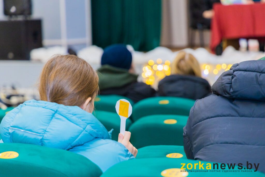 Рекордный аукцион в Узденском районе. Участок в Володьках продан за 105 тысяч рублей