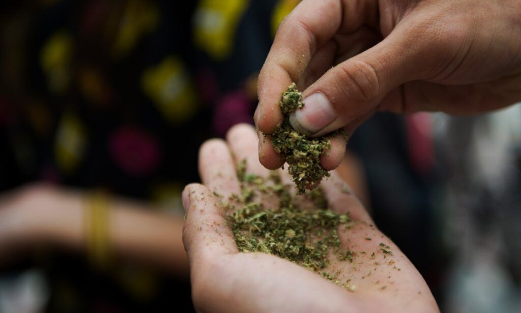 Крупную партию марихуаны нашли у жителя Узды