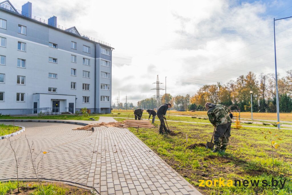 посадка деревьев