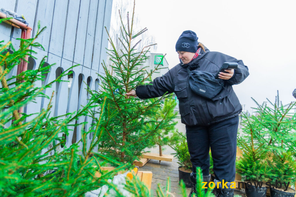 Елочные базары стартовали в райцентре. Где найти главное украшение Нового года?