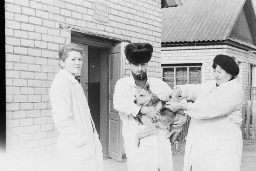 Ретрофото. Ветпомощь