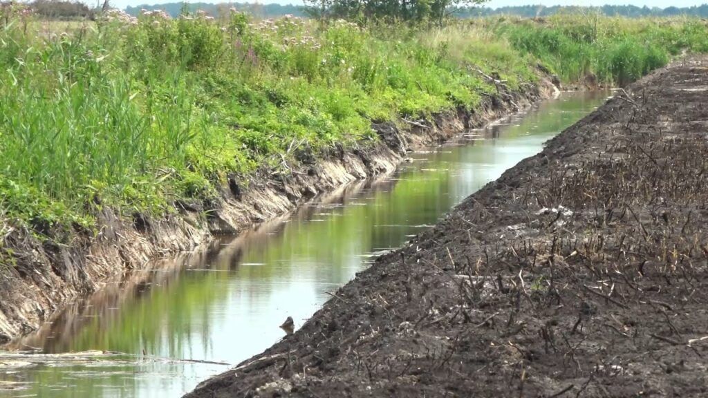 мелиорация