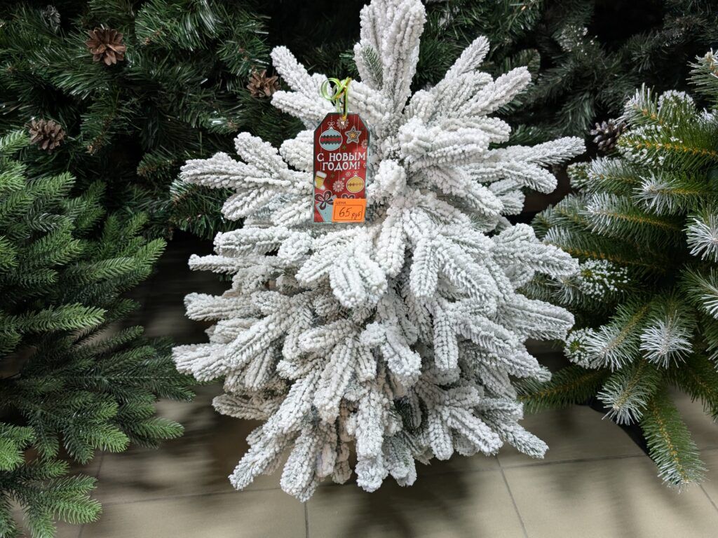 заснеженная ель