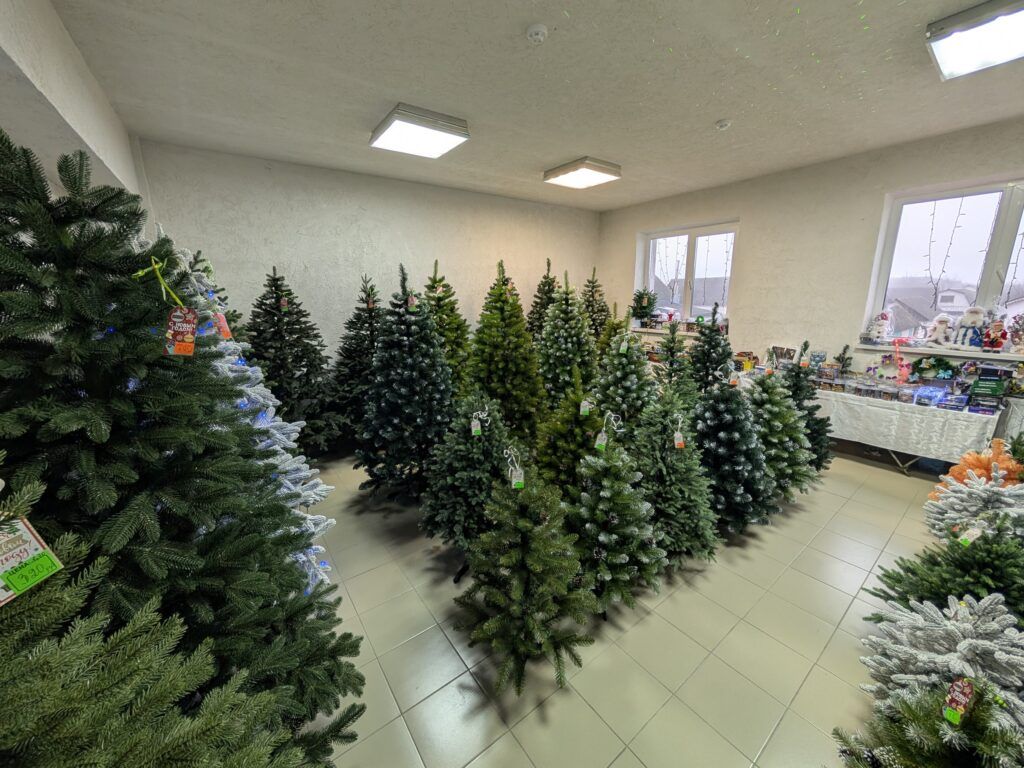 ассортимент елок