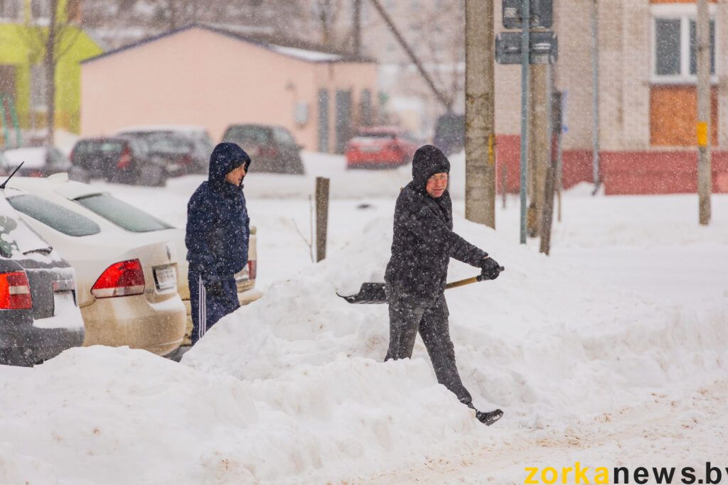 мужчины чистят двор