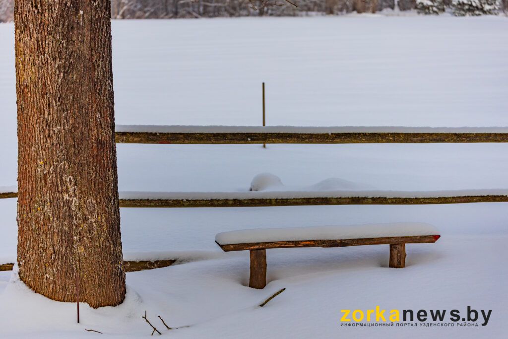скамейка под снегом