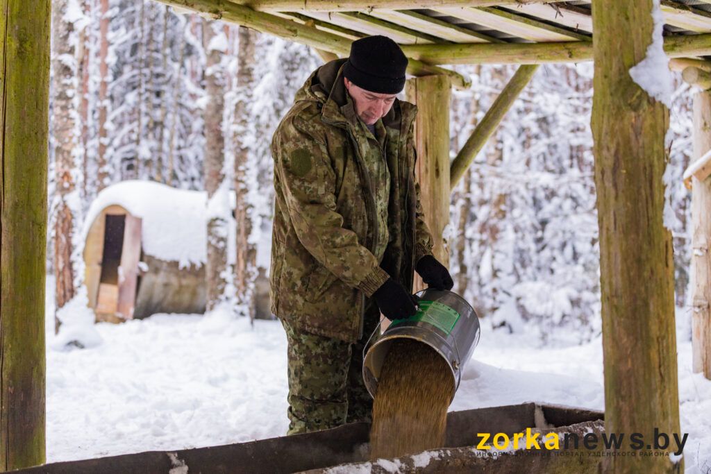 Лесная столовая. Какое меню диким животным предлагают егеря Узденского лесхоза