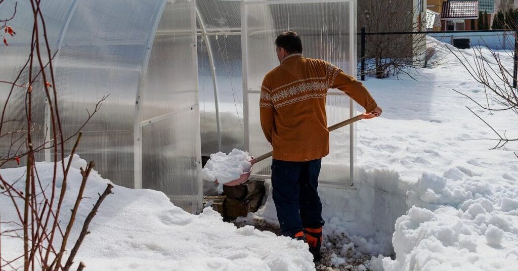 снег в теплице