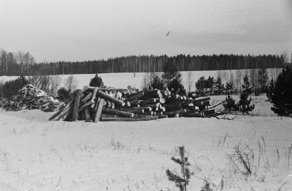 Ретрофото. Зимний пейзаж