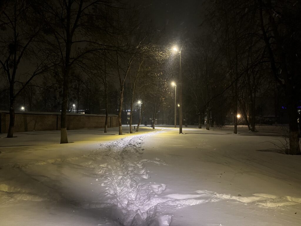 дорога к садам