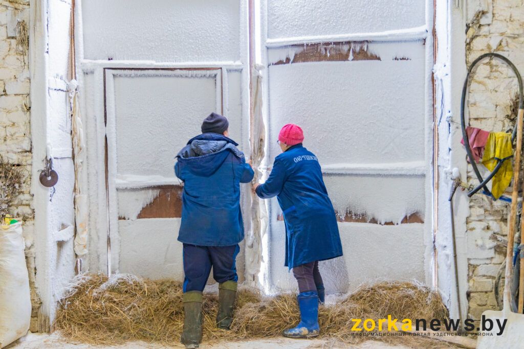 животноводы