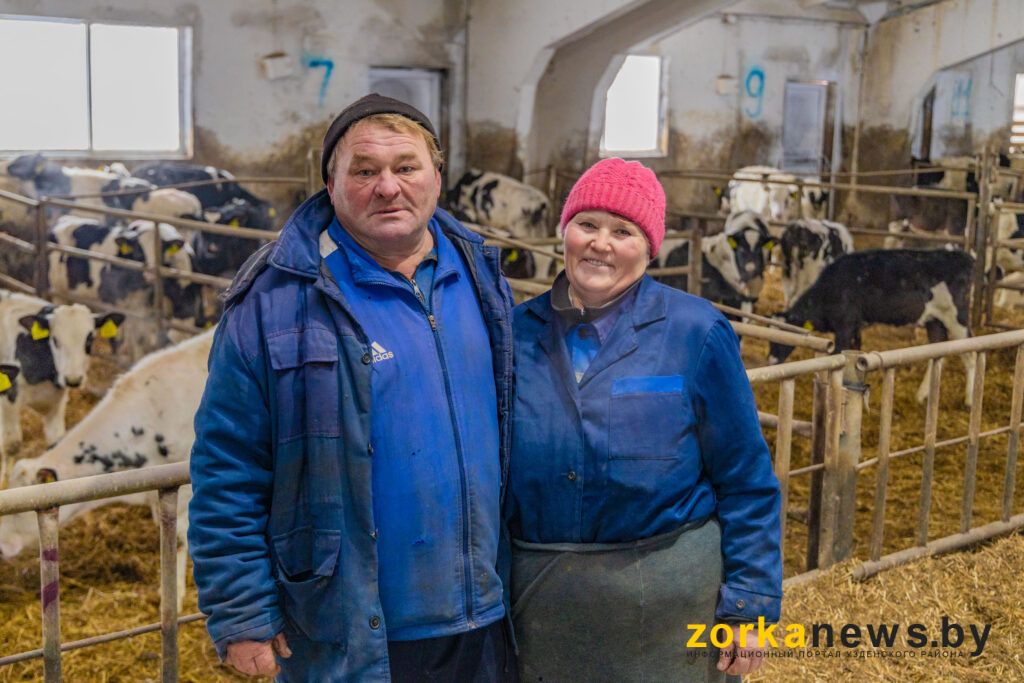 Как совмещать работу на ферме, хозяйство и огород, рассказали супруги из Чурилово