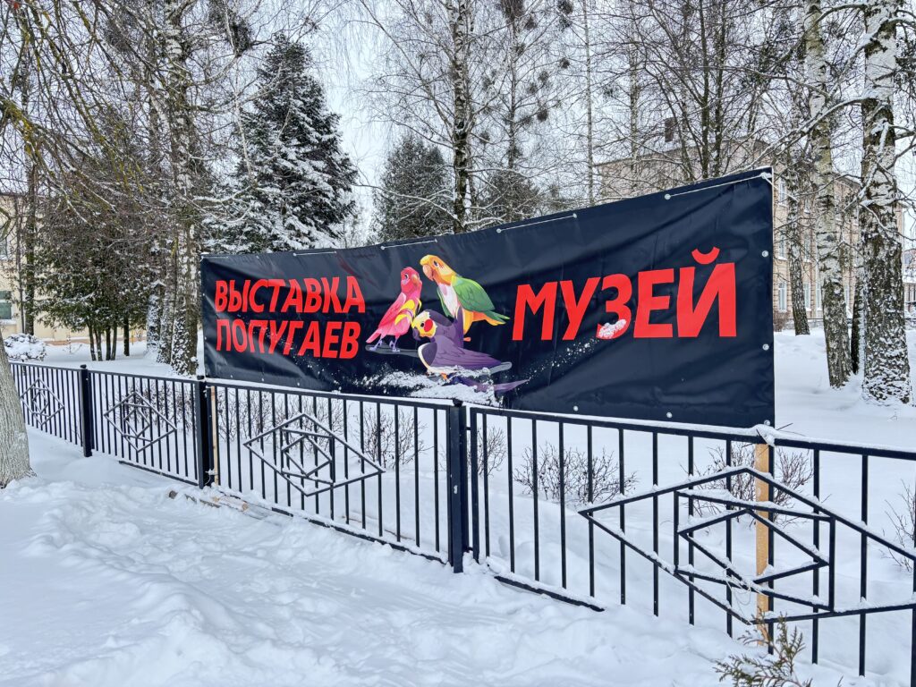 выставка попугаев в музее
