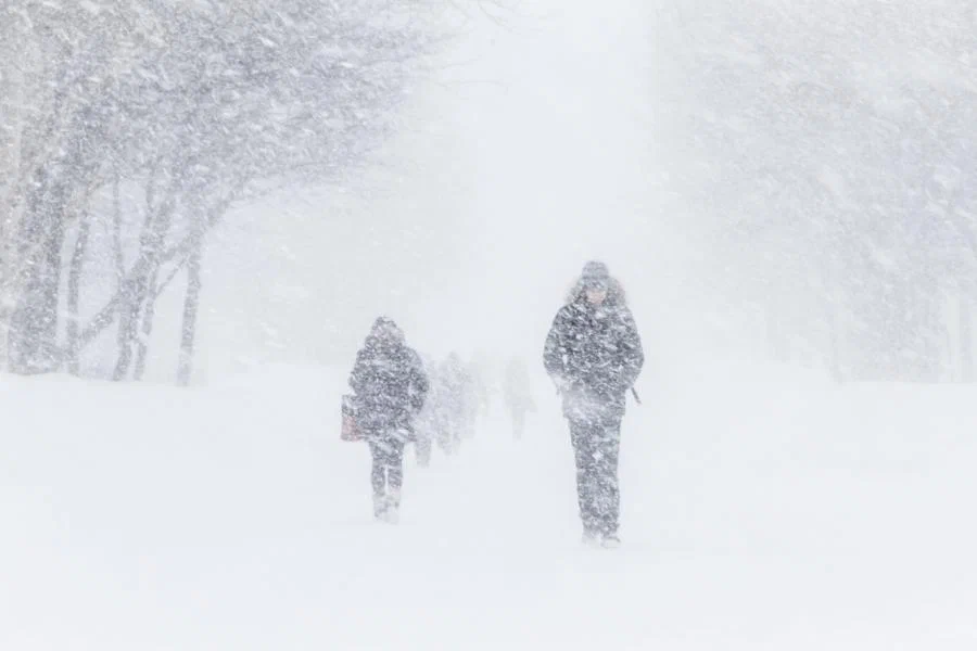 Повторится ли «Хавьер»: новый циклон «Улли» несет сильные снегопады в Беларусь