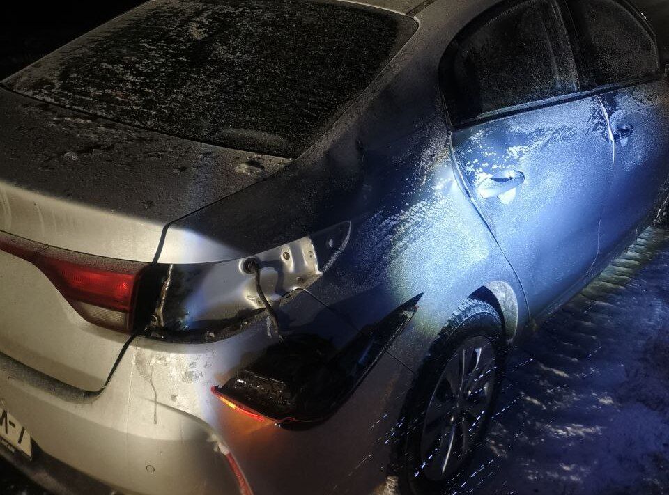 2 ДТП за неделю с дикими животными произошли в Узденском районе