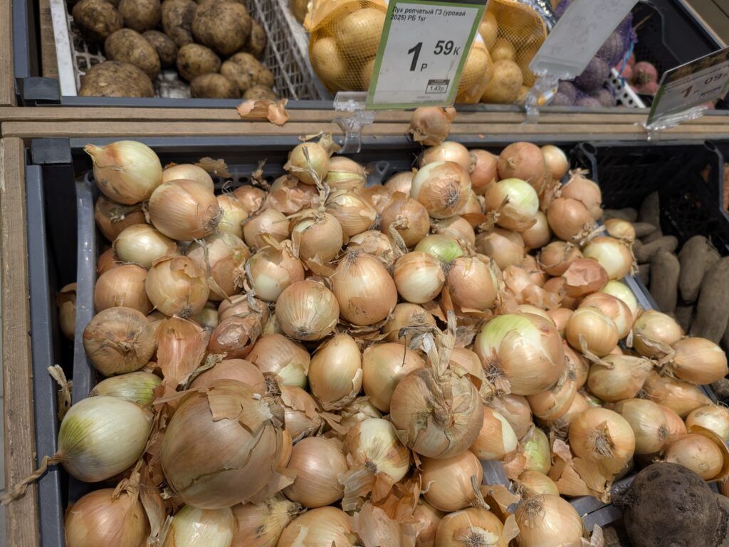 лук репчатый