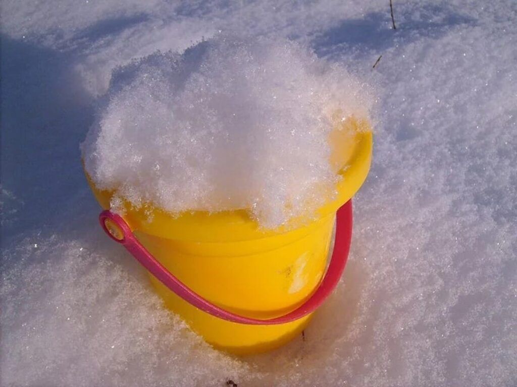 Проверено огородниками: как приготовить талую воду для полива рассады и растений