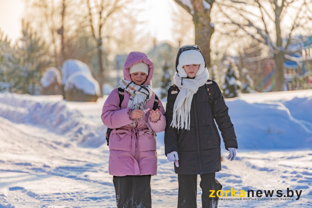 Уроки в школах Беларуси могут отменять на фоне сильных морозов