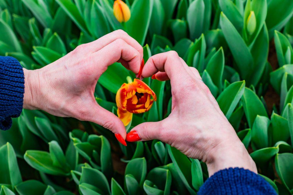 Где в Узде будут торговать цветами в преддверии 8 марта