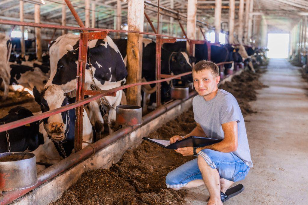 Литвяны агро