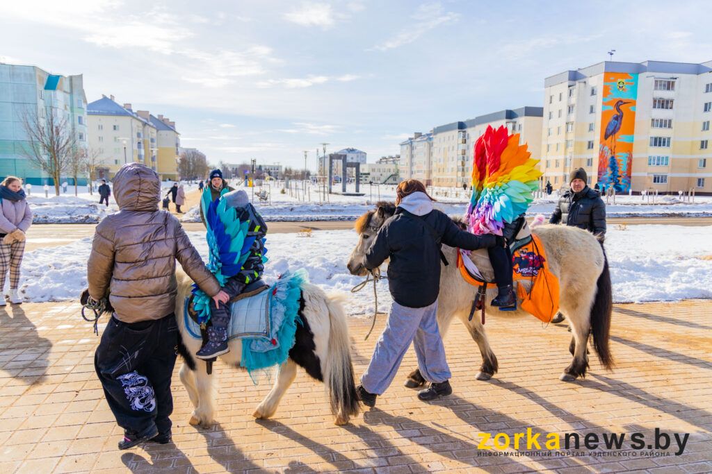 катание на пони