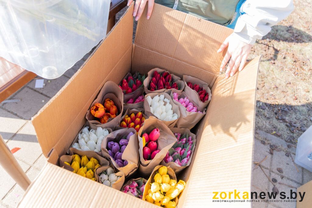 тюльпаны для продажи