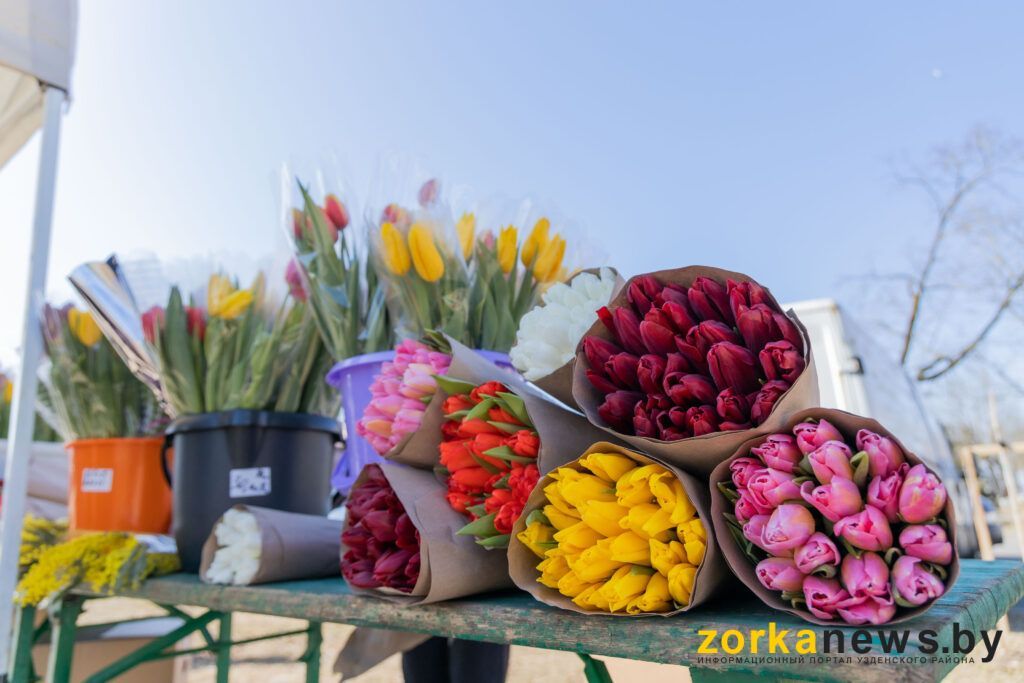 Уже в продаже. Сколько будут стоить тюльпаны к 8 марта в Узде