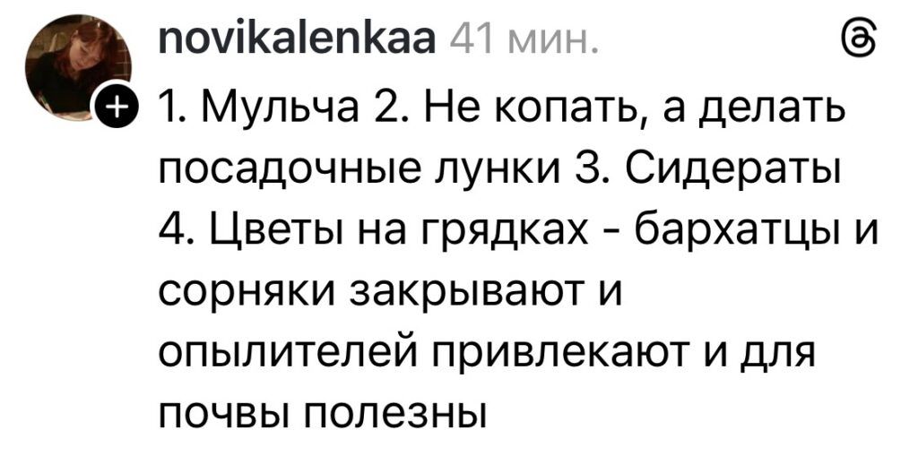 совет про бархатцы